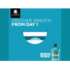 LISTERINE ® COOL MINT ANTISEPTIC MOUTH WASH 250 ML LISTERINE ® COOL MINT ANTISEPTIC MOUTH WASH 250 ML